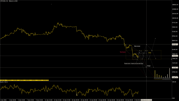 Click to Enlarge

Name: BTCUSDH1.png
Size: 68 KB