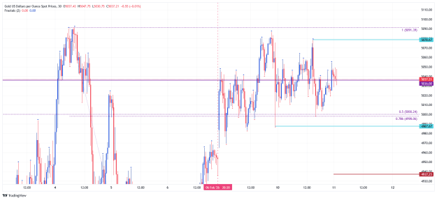 Click to Enlarge

Name: _XAU_USD_2026-02-11 daily ib gg.png
Size: 29 KB