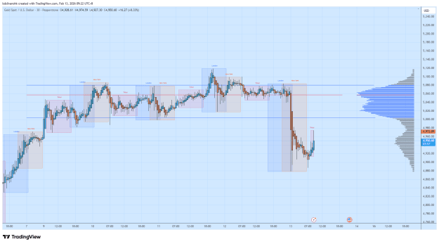 Click to Enlarge

Name: XAUUSD_2026-02-13_09-22-03.png
Size: 42 KB