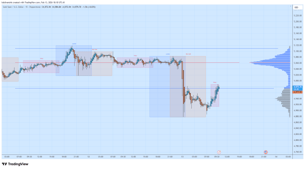 Click to Enlarge

Name: XAUUSD_2026-02-13_10-10-20.png
Size: 39 KB