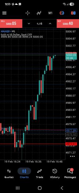 Click to Enlarge

Name: Screenshot_20260219_215315_MetaTrader 5.jpg
Size: 578 KB