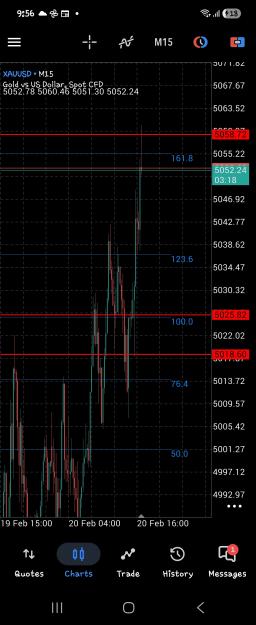 Click to Enlarge

Name: Screenshot_20260220_215643_MetaTrader 5.jpg
Size: 559 KB