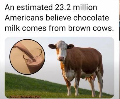 Click to Enlarge

Name: Chocolate Milk.JPG
Size: 28 KB