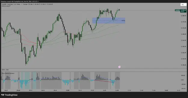 Click to Enlarge

Name: XAUUSD_2026-03-04_11-03-17.png
Size: 43 KB