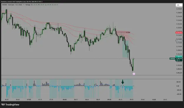 Click to Enlarge

Name: XAUUSD_2026-03-06_09-33-48.png
Size: 46 KB