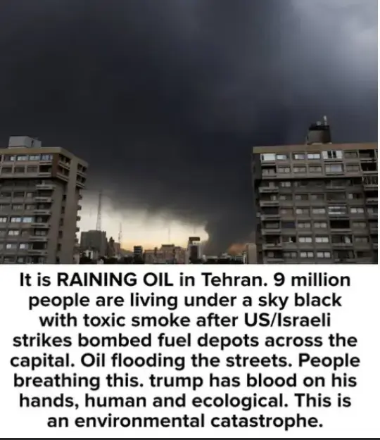 Click to Enlarge

Name: screenshot.webp
Size: 31 KB