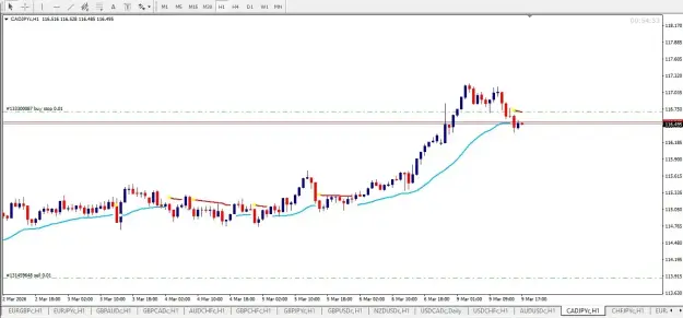Click to Enlarge

Name: screenshot.webp
Size: 36 KB