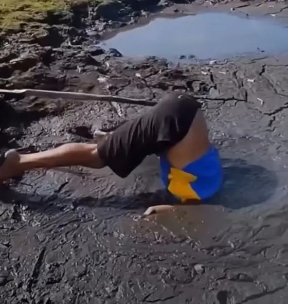 Click to Enlarge

Name: Head in the Mud.JPG
Size: 45 KB