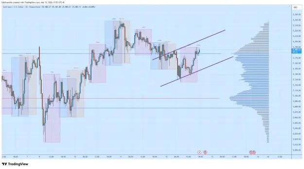 Click to Enlarge

Name: XAUUSD_2026-03-12_17-53-49.png
Size: 68 KB