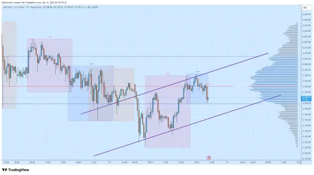 Click to Enlarge

Name: XAUUSD_2026-03-12_20-18-07.png
Size: 65 KB