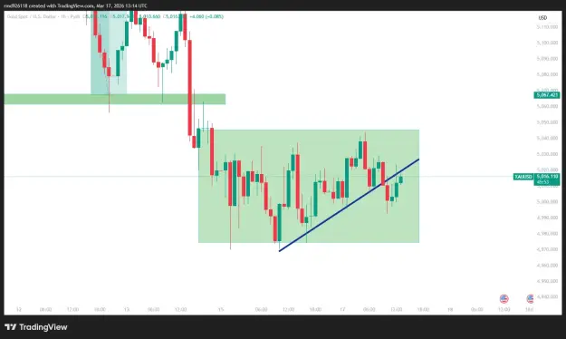 Click to Enlarge

Name: XAUUSD_2026-03-17_19-14-08.png
Size: 27 KB