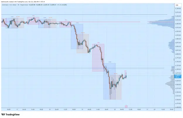 Click to Enlarge

Name: XAUUSD_2026-03-20_09-11-37.png
Size: 50 KB