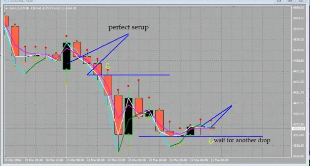 Click to Enlarge

Name: screenshot.webp
Size: 46 KB