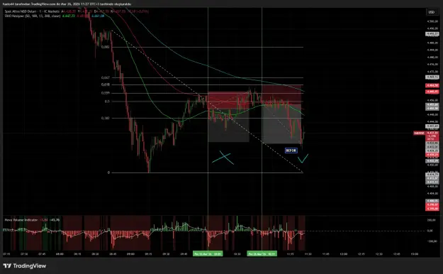 Click to Enlarge

Name: XAUUSD_2026-03-26_11-27-09_3d70d.png
Size: 61 KB