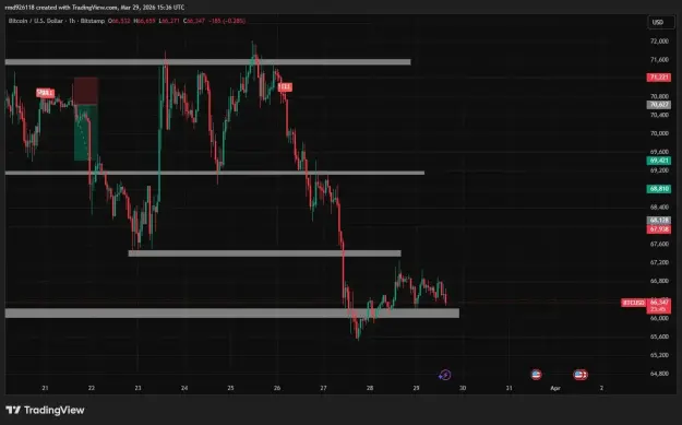 Click to Enlarge

Name: btc f.webp
Size: 35 KB