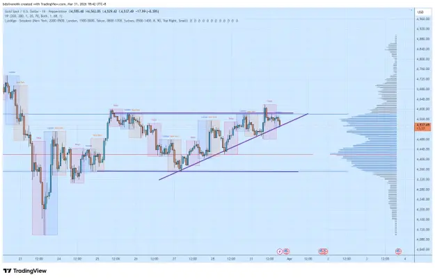 Click to Enlarge

Name: XAUUSD_2026-03-31_18-42-24.png
Size: 62 KB