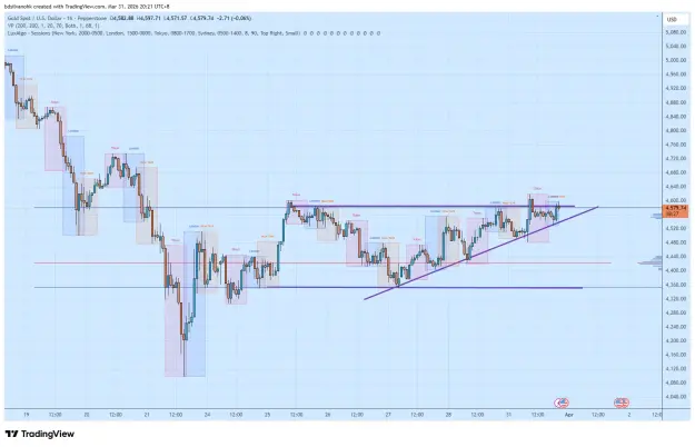 Click to Enlarge

Name: XAUUSD_2026-03-31_20-21-34.png
Size: 62 KB