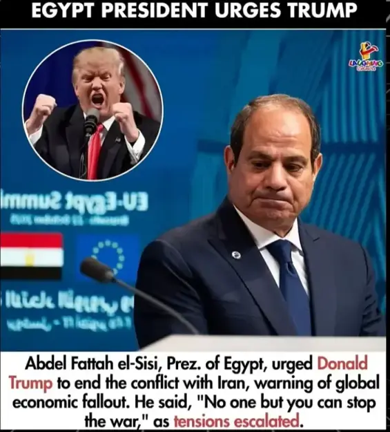 Click to Enlarge

Name: screenshot.webp
Size: 43 KB
