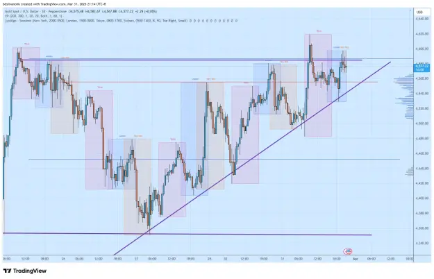 Click to Enlarge

Name: XAUUSD_2026-03-31_21-14-00.png
Size: 69 KB