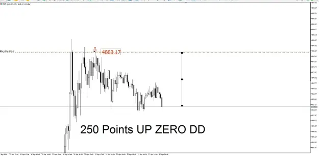 Click to Enlarge

Name: Zero DD.JPG
Size: 38 KB