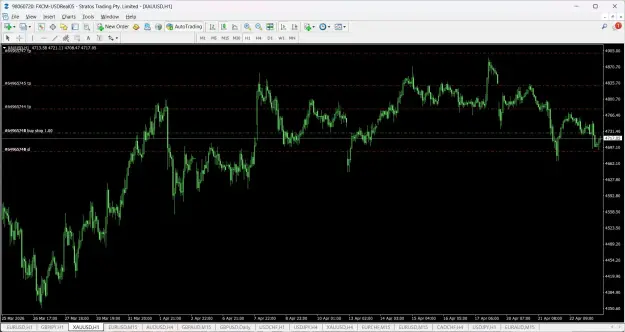Click to Enlarge

Name: screenshot.webp
Size: 84 KB