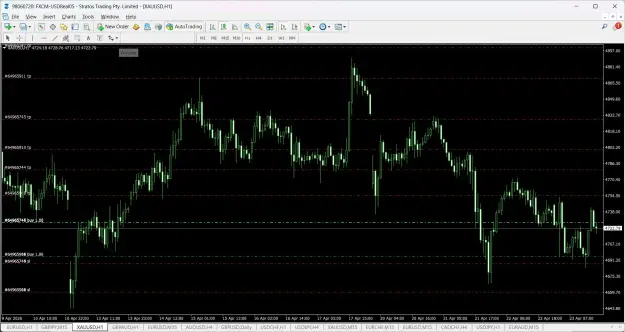Click to Enlarge

Name: screenshot.webp
Size: 97 KB