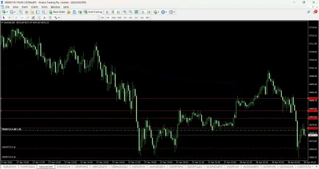 Click to Enlarge

Name: screenshot.webp
Size: 81 KB