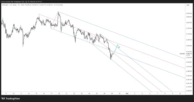 Click to Enlarge

Name: XAUUSD_2026-04-29_06-22-33.png
Size: 45 KB