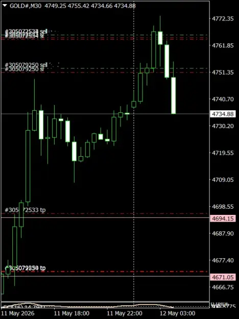 Click to Enlarge

Name: GOLD#M30 1205a.png
Size: 31 KB
