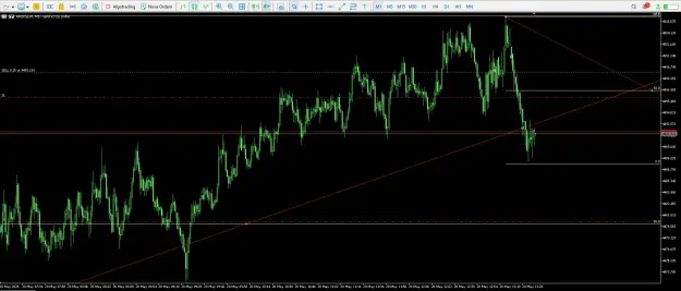 Click to Enlarge

Name: screenshot.webp
Size: 66 KB