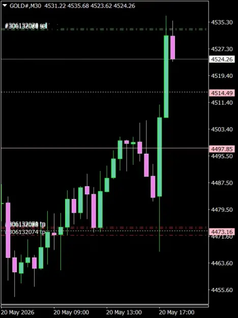 Click to Enlarge

Name: GOLD#M30 2005d.png
Size: 25 KB