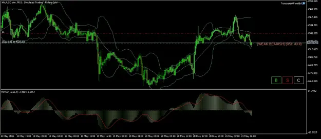Click to Enlarge

Name: XAUUSD.simM15.png
Size: 49 KB