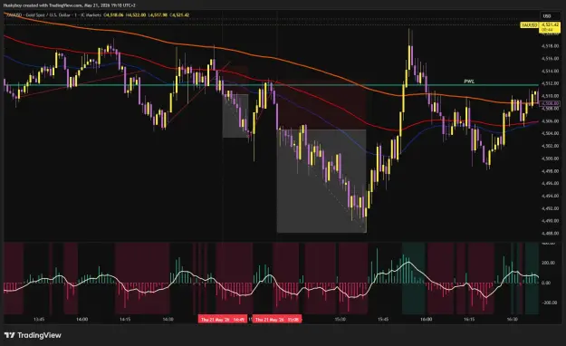 Click to Enlarge

Name: XAUUSD_2026-05-21_19-10-16.png
Size: 70 KB