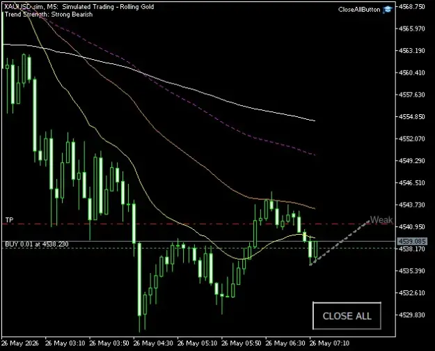 Click to Enlarge

Name: XAUUSD.simM5.png
Size: 25 KB