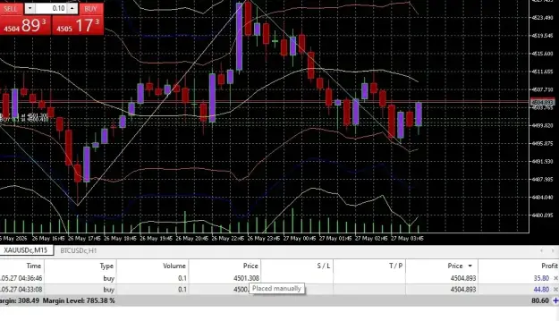 Click to Enlarge

Name: screenshot.webp
Size: 73 KB