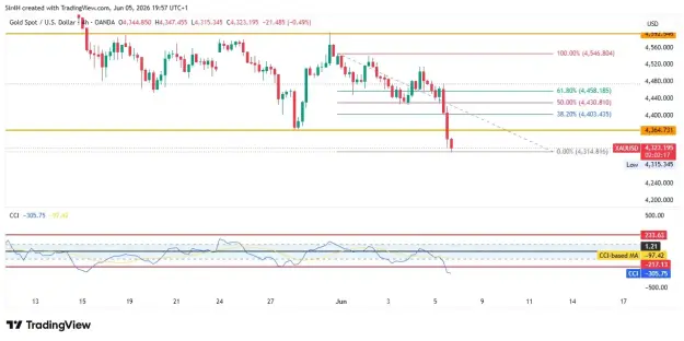 Click to Enlarge

Name: screenshot.webp
Size: 39 KB