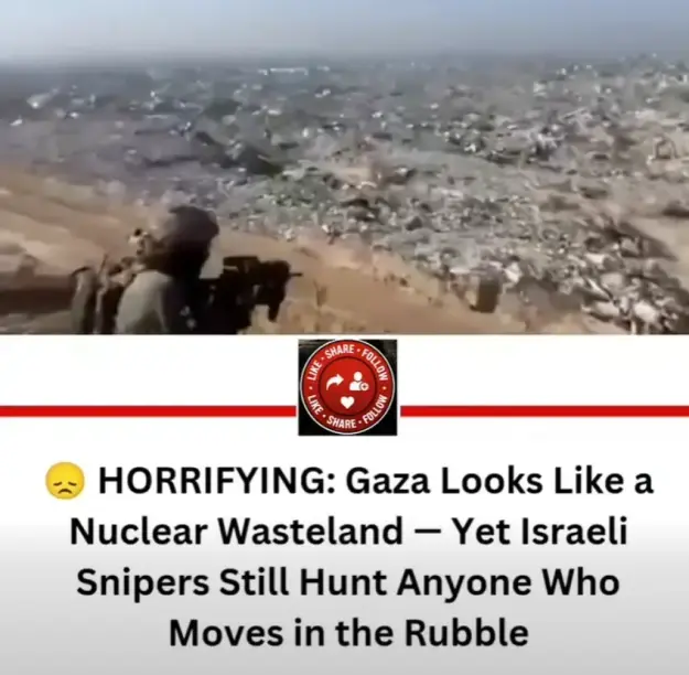 Click to Enlarge

Name: screenshot.webp
Size: 35 KB