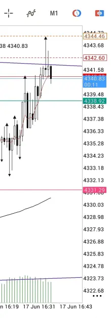 Click to Enlarge

Name: Screenshot_2026-06-17-15-47-58-869-edit_net.metaquotes.metatrader5.jpg
Size: 48 KB
