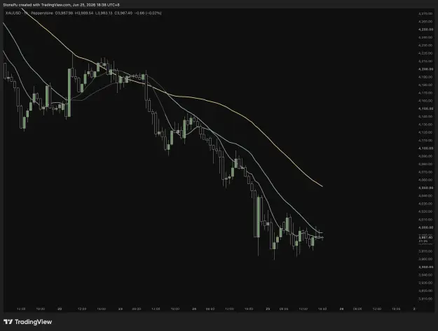 Click to Enlarge

Name: screenshot.webp
Size: 81 KB