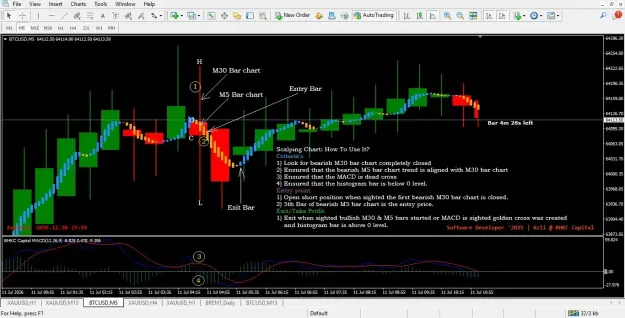 Click to Enlarge

Name: Scalping chart _ BTCUSD.jpg
Size: 68 KB