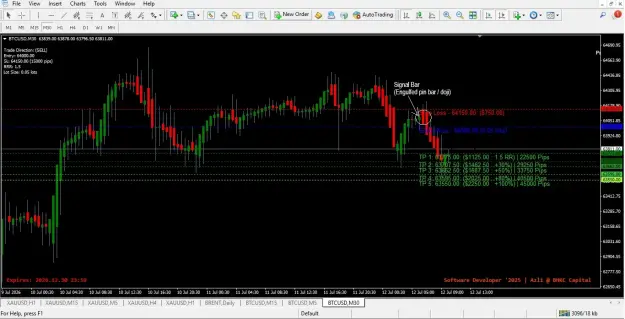 Click to Enlarge

Name: BTCUSD_short.jpg
Size: 64 KB