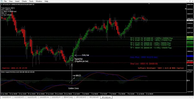 Click to Enlarge

Name: BTCUSD_long sample.jpg
Size: 67 KB