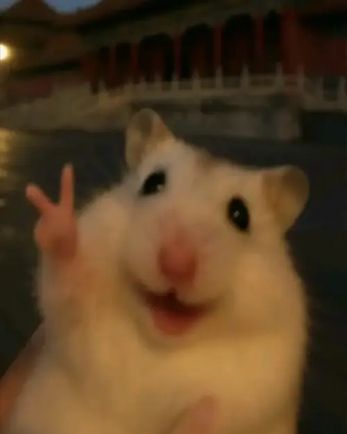 Click to Enlarge

Name: peace!! ( bye ).jpg
Size: 13 KB