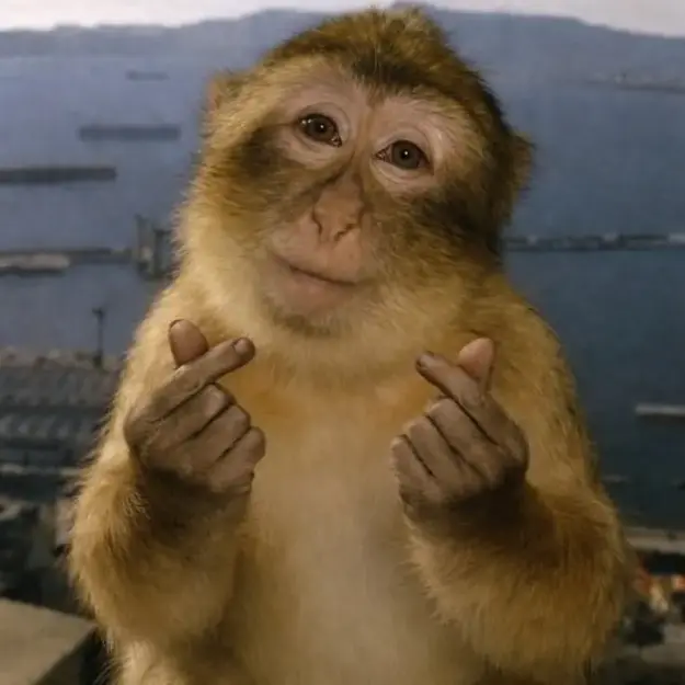Click to Enlarge

Name: AWW.jpg
Size: 24 KB