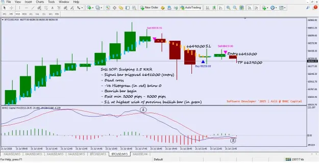 Click to Enlarge

Name: Scalping chart _ BTCUSD.jpg
Size: 55 KB