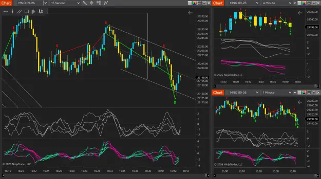 Click to Enlarge

Name: NinjaTrader_YGxOBMbCzk.png
Size: 115 KB