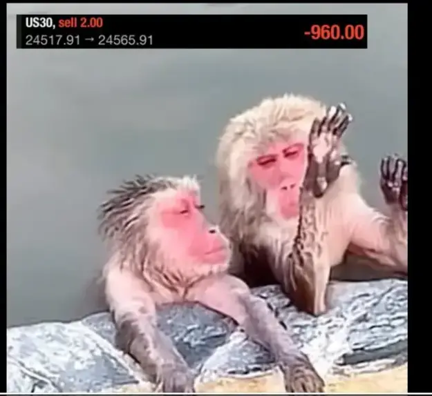 Click to Enlarge

Name: screenshot.webp
Size: 22 KB