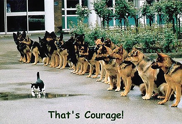 Click to Enlarge

Name: courage.jpg
Size: 200 KB
