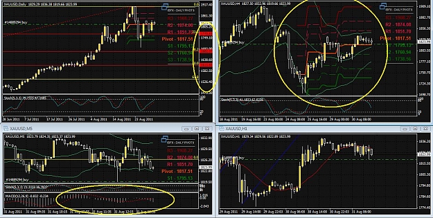 Click to Enlarge

Name: gold night all again.jpg
Size: 180 KB