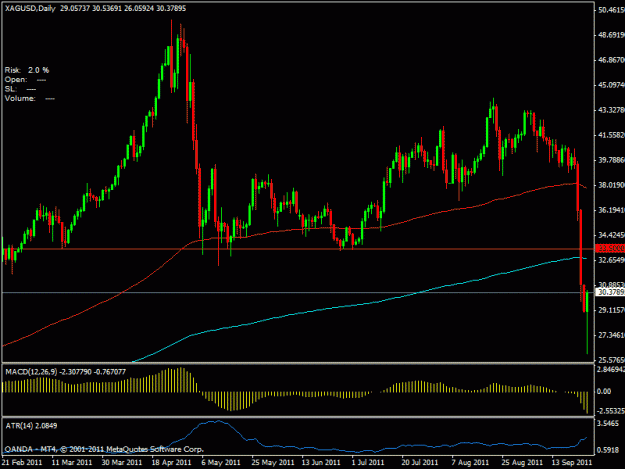 Click to Enlarge

Name: silver1d_pin.gif
Size: 18 KB